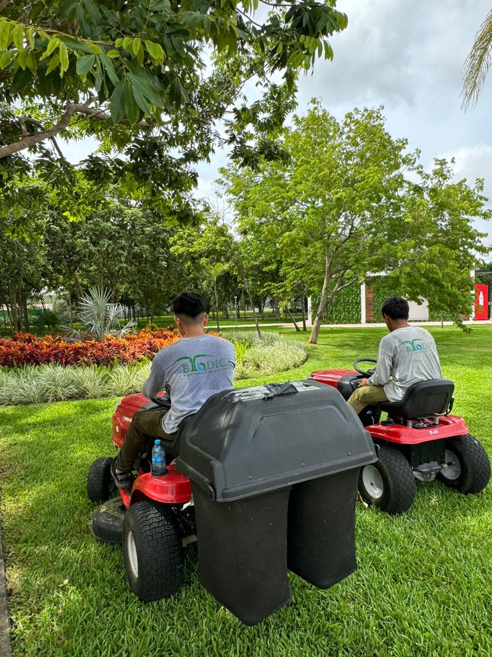 Equipo profesional en parque