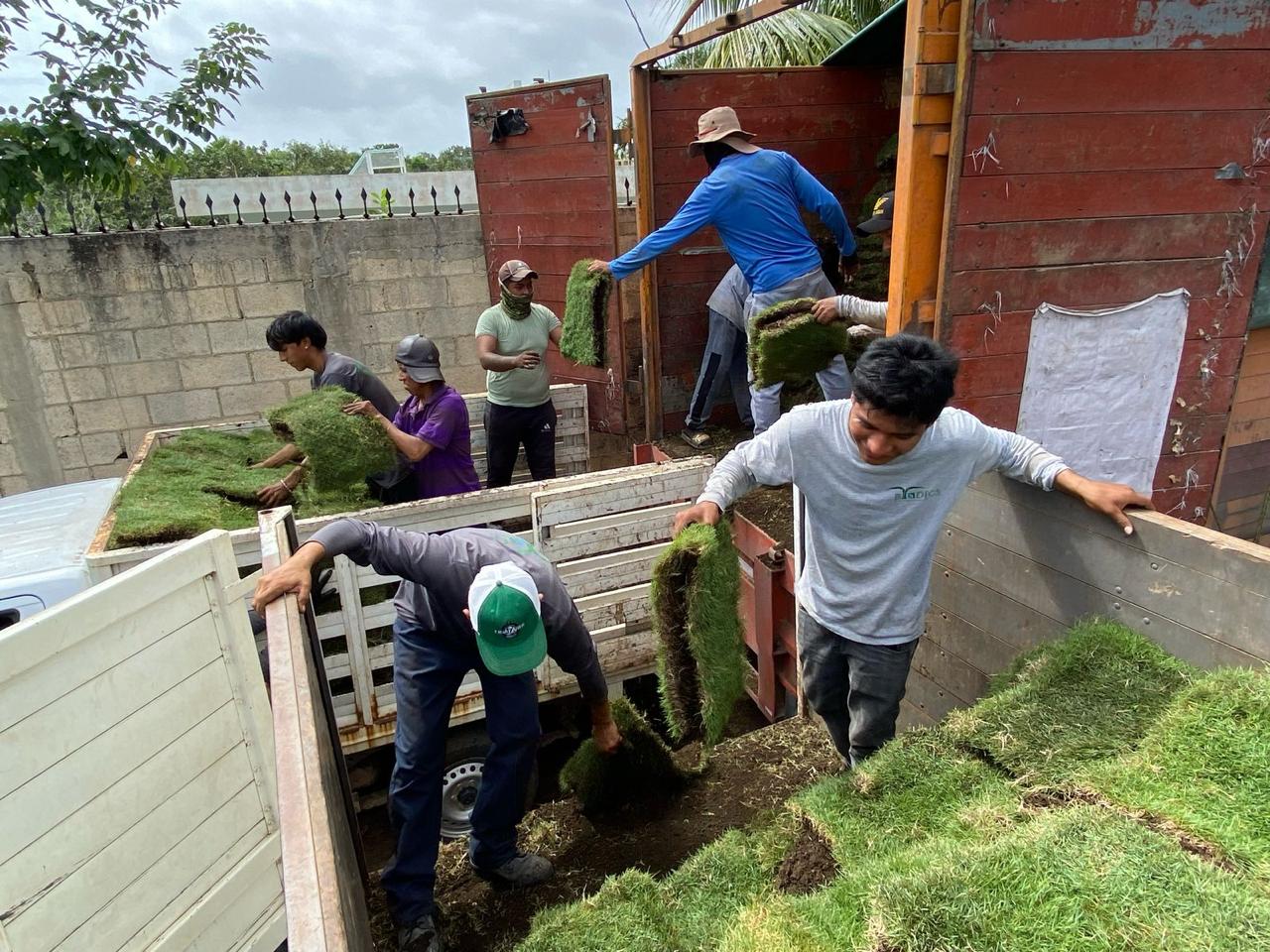Instalación de tepe