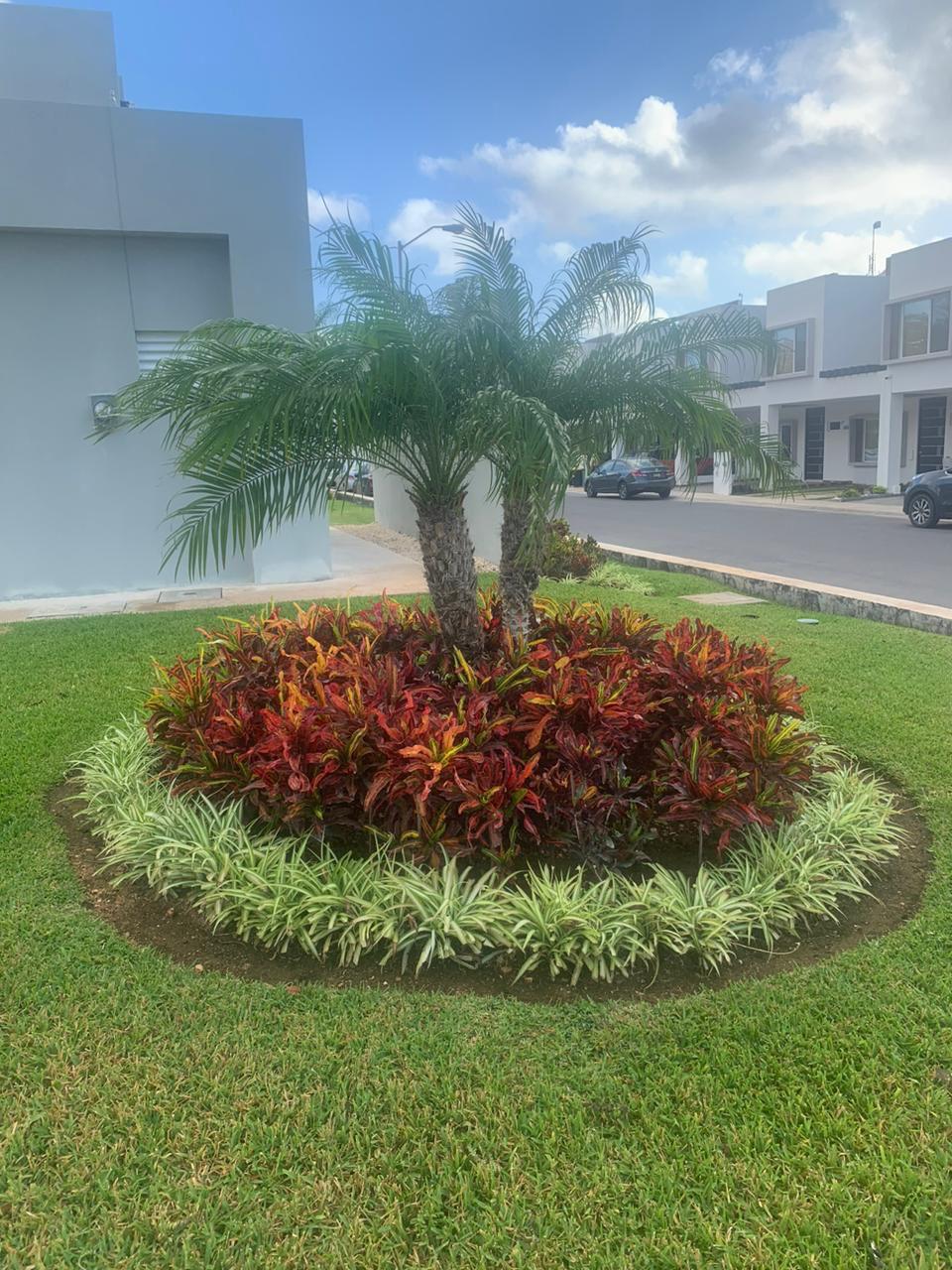 Jardín diseñado por Biodica